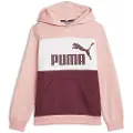 Puma Ess Block Fl Hættetrøje