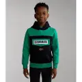 Napapijri Burgee W 2 Sweatshirt