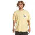 Quiksilver Take Us Back Logo T-shirt Med Korte ærmer