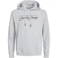 Jack & Jones 12254870 Zuri Hættetrøje