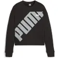 Puma Power Sweatshirt