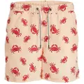 Jack & Jones Fiji Aop Badeshorts