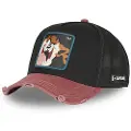 Capslab Taz4 Ct Kasket