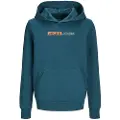 Jack & Jones Player Hættetrøje