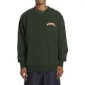 Dc-shoes Varsity Sweatshirt