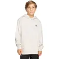 Quiksilver Basic Hættetrøje