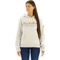Superdry Rainbow Logo Hættetrøje