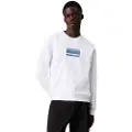 Calvin Klein Gradient Logo Hættetrøje
