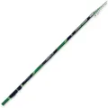 Fishing Ferrari Ninfa Lt Tele Bolognesestang