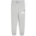 Puma Power Graphic Cl Sportsbukser