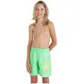 O'Neill Circle Surfer 14´´ Badeshorts