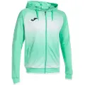 Joma Tiger V Sweatshirt Med Lynlås