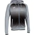 Joma Tiger V Sweatshirt Med Lynlås