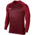 Nike Dry Team Trophy Iii T-shirt Med Lange ærmer