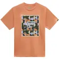 Vans Classic Print Box T-shirt Med Korte ærmer