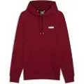 Puma Ess+ 2 Col Small Logo Hættetrøje