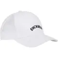Dickies Shawsville Trucker Kasket