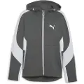 Puma Evostripe Dk Sweatshirt Med Lynlås