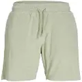 Jack & Jones Jayden James Sports Shorts