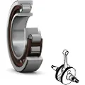 Skf Nu 6204-ecp - 20x47x14 Mm Leje