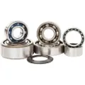 Hotrods Honda 450 Trx-er 06-14/r 06-09 Styrelagerkit