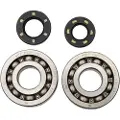 Hotrods Kawasaki 2002-2007 Kx250 Krumtapaksel Leje Og Tætningssæt