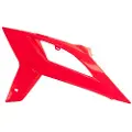 Rtech Beta Rr 250 2020-2022 Sidepaneler