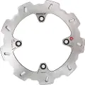 Braking Ho55rid Bagbremseskive
