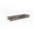 Öhlins 01096-41 Gaffelfjedersæt