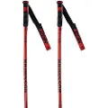 Rossignol Hero Gs-sg Spadserestokke