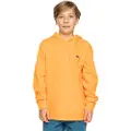 Quiksilver Basic Hættetrøje