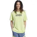 Adidas All Szn Graphic T-shirt Med Korte ærmer
