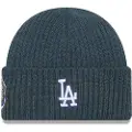 New Era Los Angeles Dodgers New Traditions Beanie