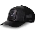 Hatfield Panther Kasket