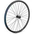 Conor Mach 29´´ Disc Gravelcykel Forhjul