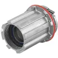 Massi Campagnolo Road Freehub-krop