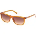 GUESS Gu00169 Solbriller