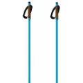 Fischer Storm Gtx S Spadserestokke