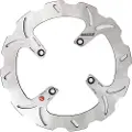 Braking Ho23rid Bagbremseskive