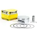 ProX Beta Rr520 ´10-11 + Rr498 ´12-14 12.0:1 99.95 Mm Stempel