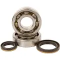 Hotrods Suzuki Rm 250 94-02 Krumbøllejesæt