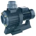 AstralPool 11509 Cciv 450t Pumpe Til Dobbeltmodel
