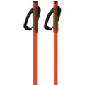 Fischer Storm Gtx L Spadserestokke