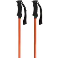 Salewa Puez Aluminum Pro Spadserestokke