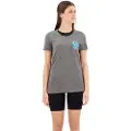 Icebreaker Tech Lite Ii Earth T-shirt Med Korte ærmer