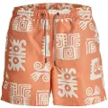 Jack & Jones Fiji Oceanday Badeshorts