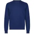 Lee Clean Raglan Trøje