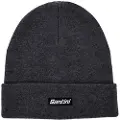 Santini Wool Beanie