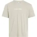 Calvin Klein Hero Logo Comfort T-shirt Med Korte ærmer