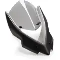 Puig Carenabris New Generation Touring Kawasaki Z1000/z1000r Forrude